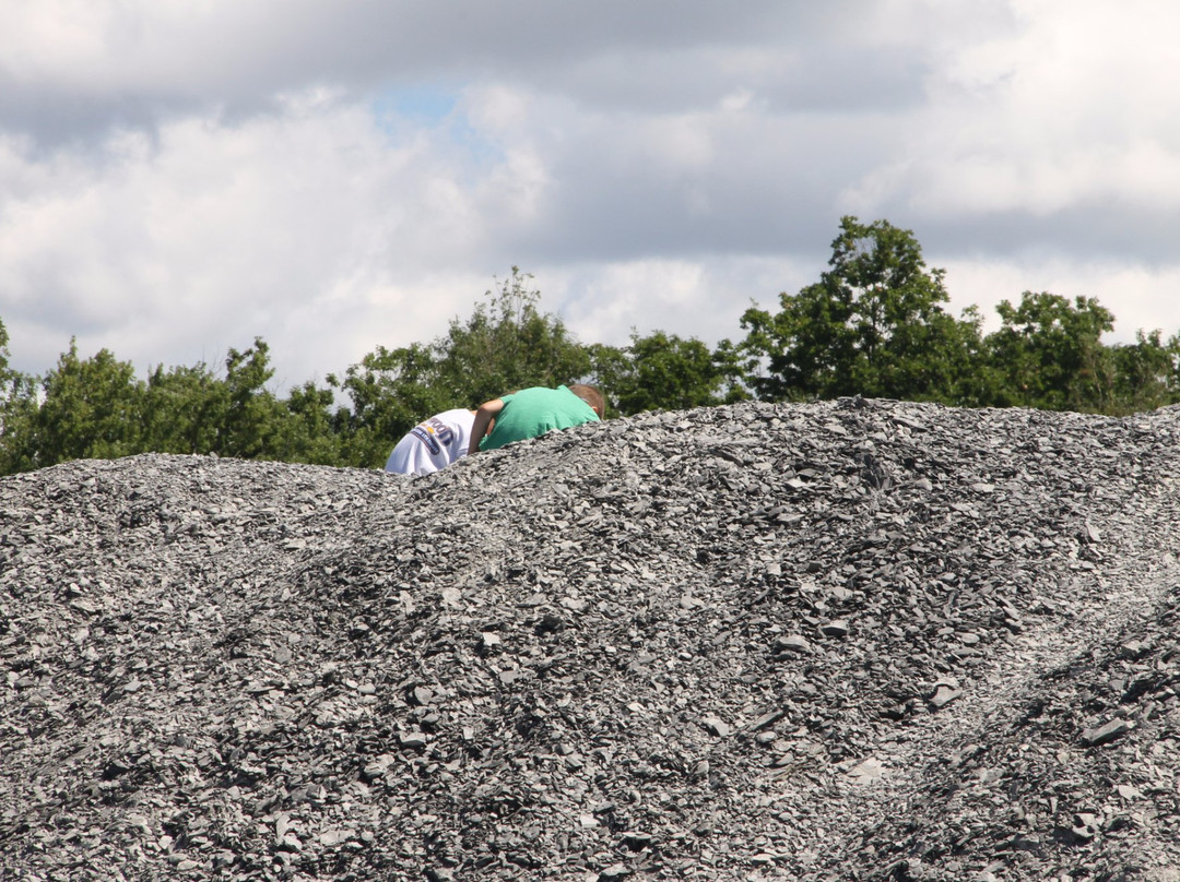 Penn Dixie Fossil Park & Nature Reserve景点图片