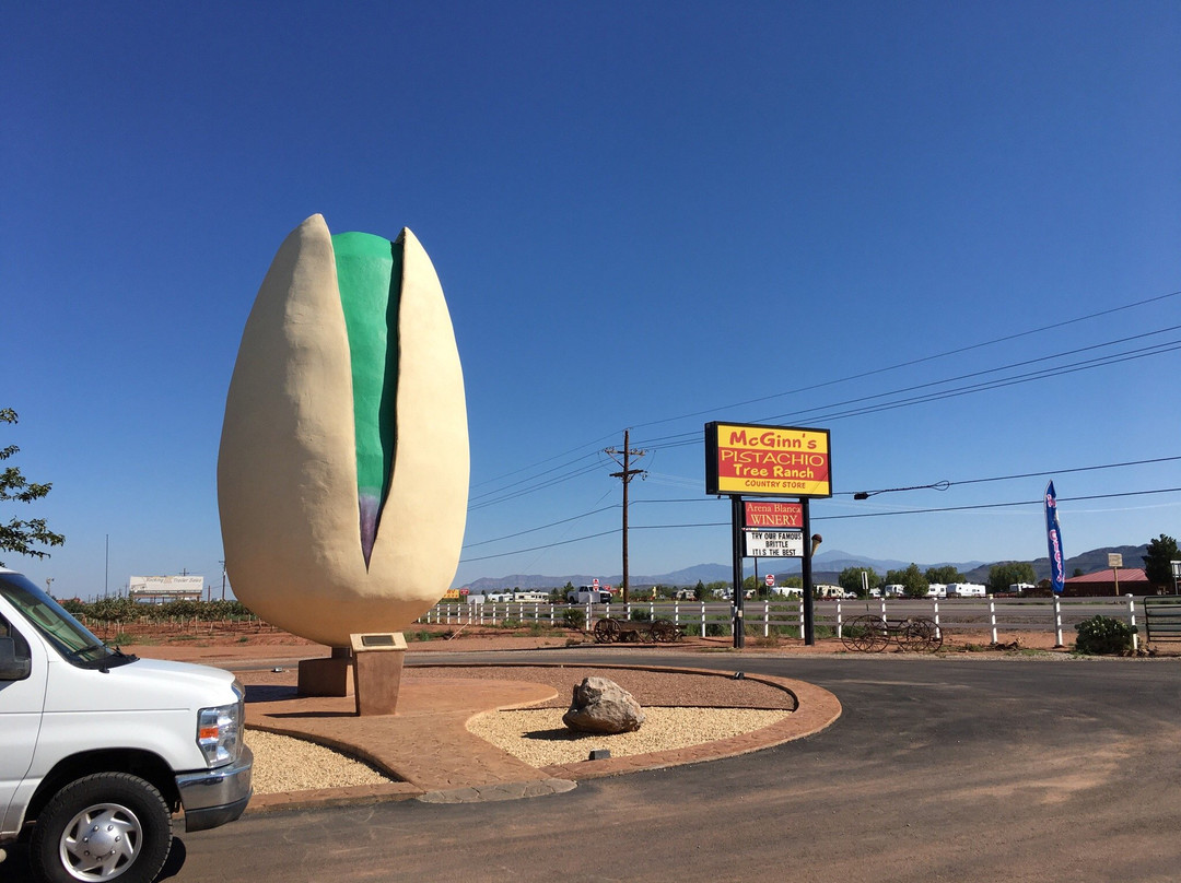 McGinn's PistachioLand-阿拉莫戈多必去景点