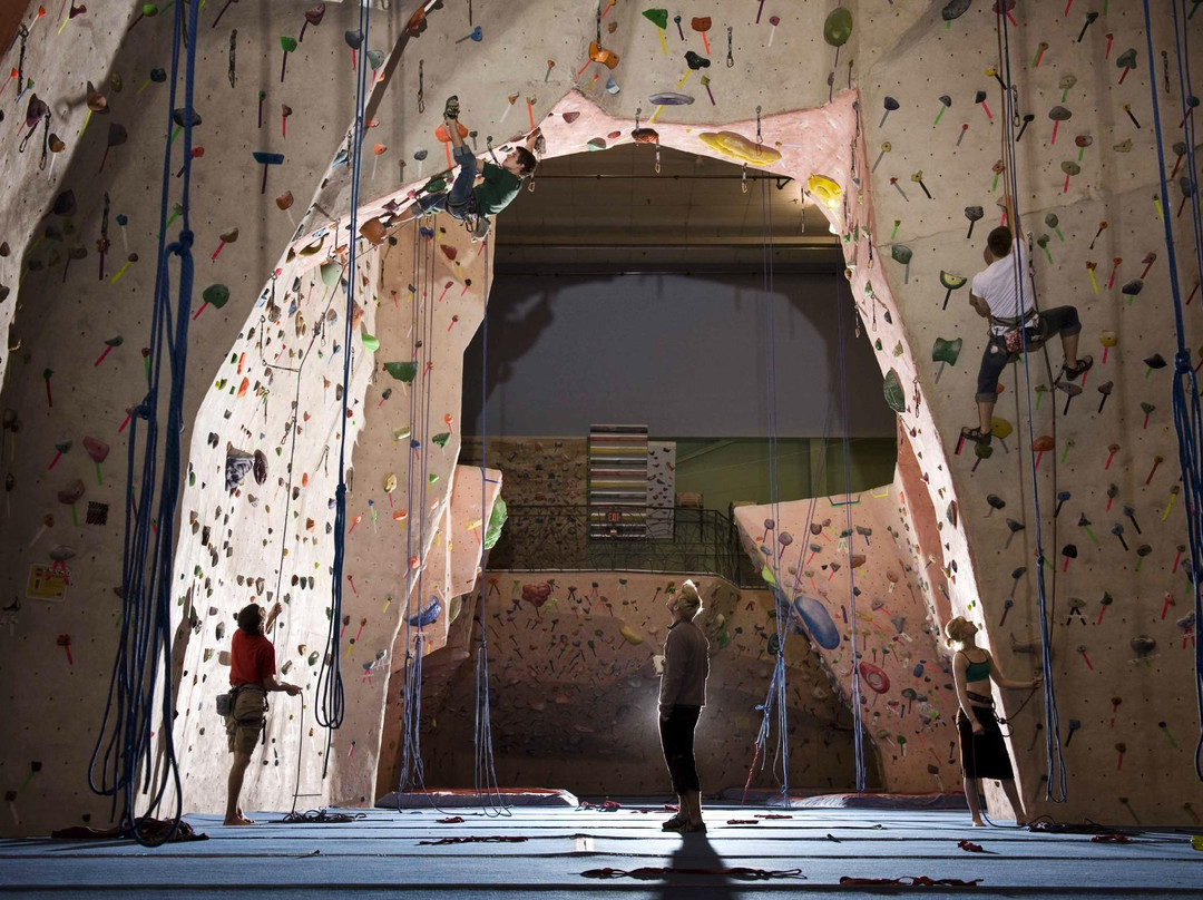 罗克维尔旅游景点-Earth Treks Climbing Center