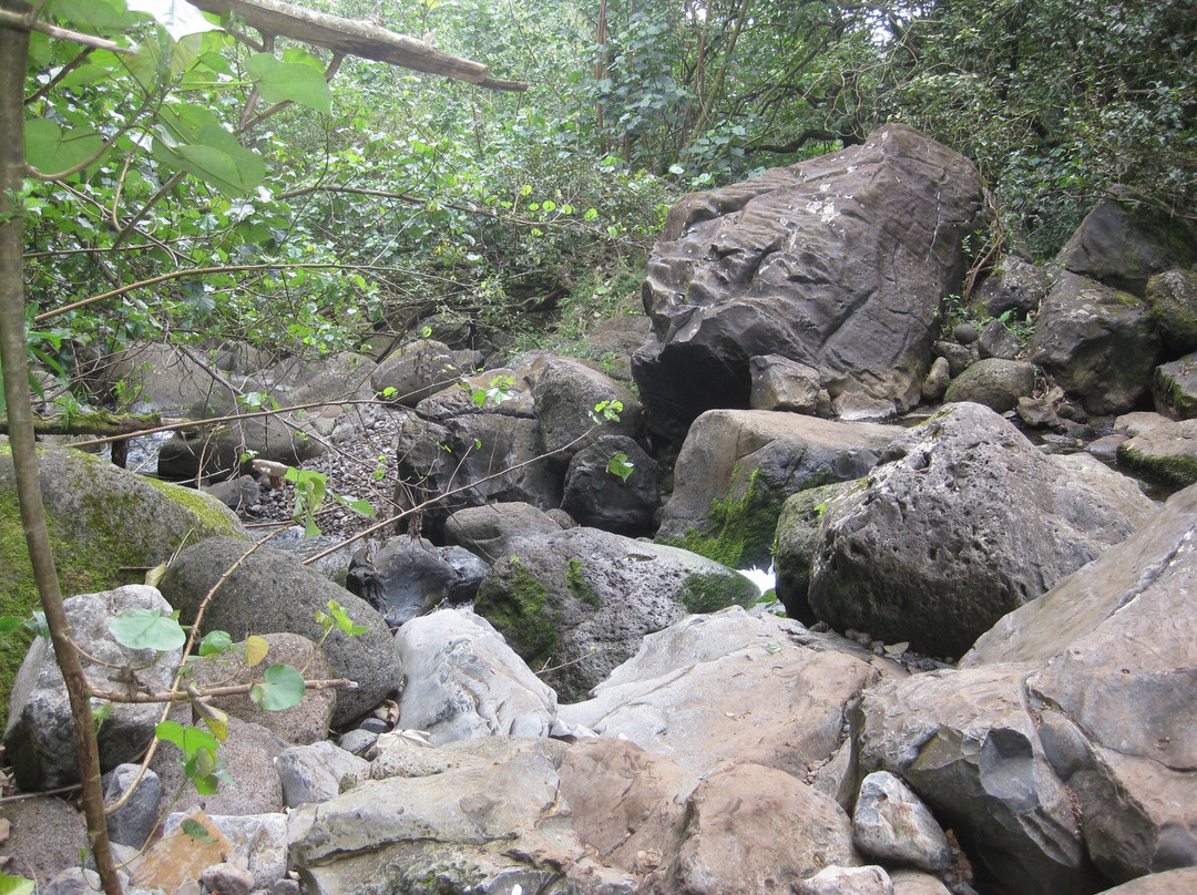 Makaleha Falls Trail