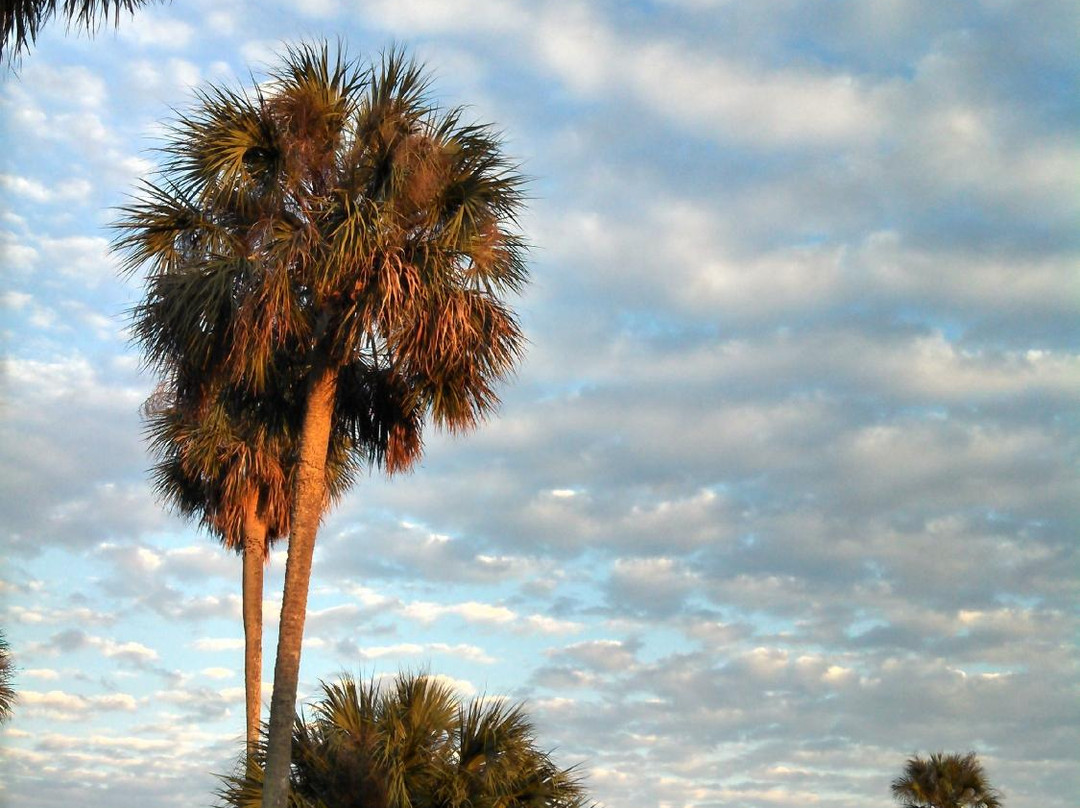 Palm Aire Country Club-庞帕诺比奇必去景点