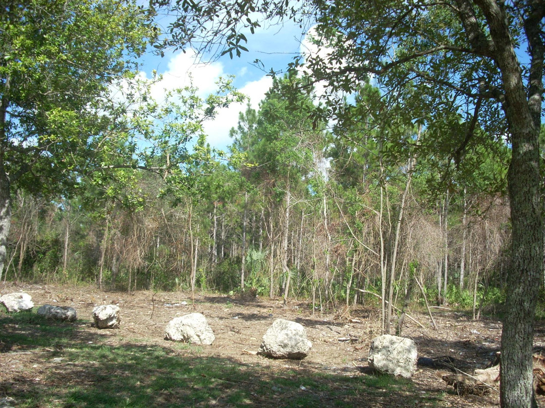 Seminole Wayside Park景点图片