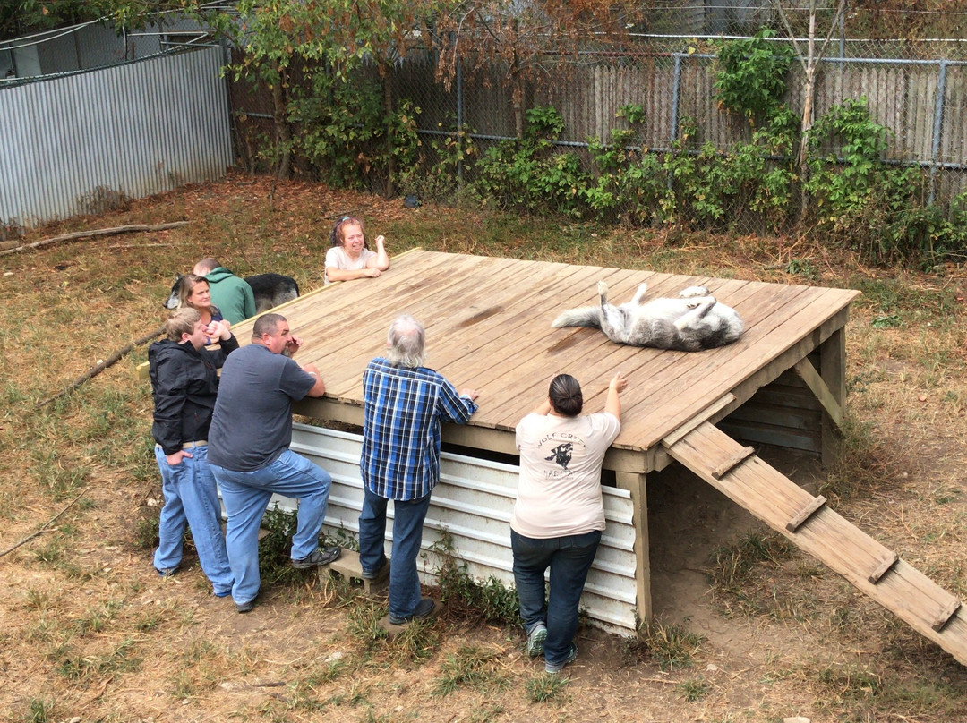 Wolf creek habitat and rescue景点图片