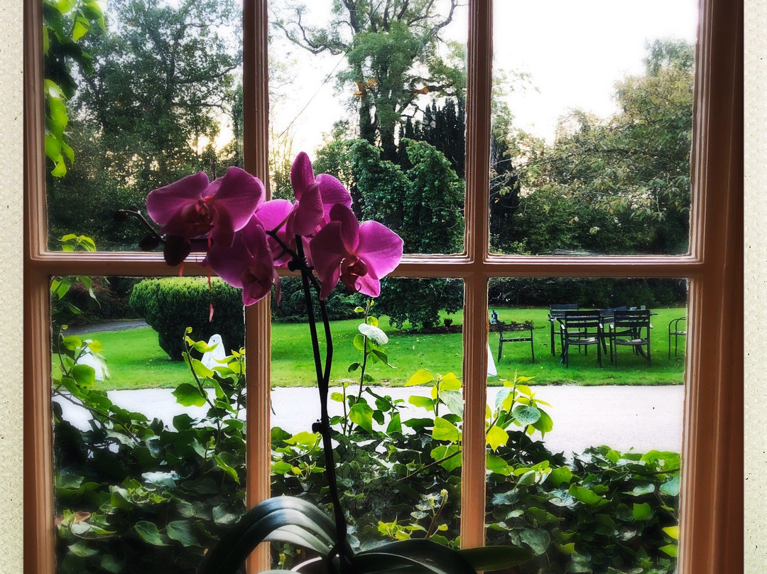 Plas Hafod Hotel主图