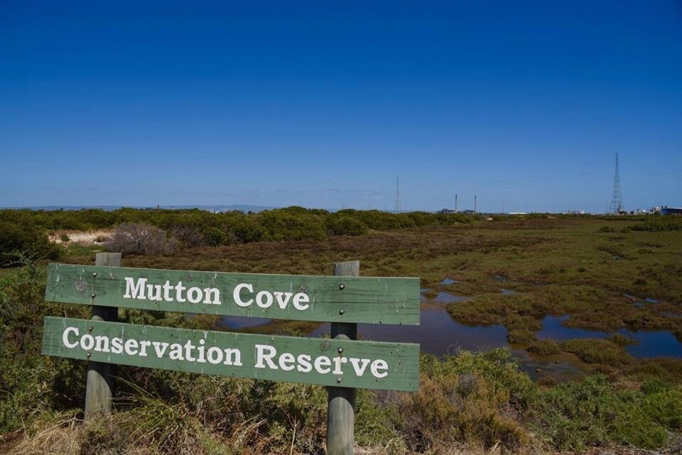 Mutton Cove Conservation Reserve景点图片