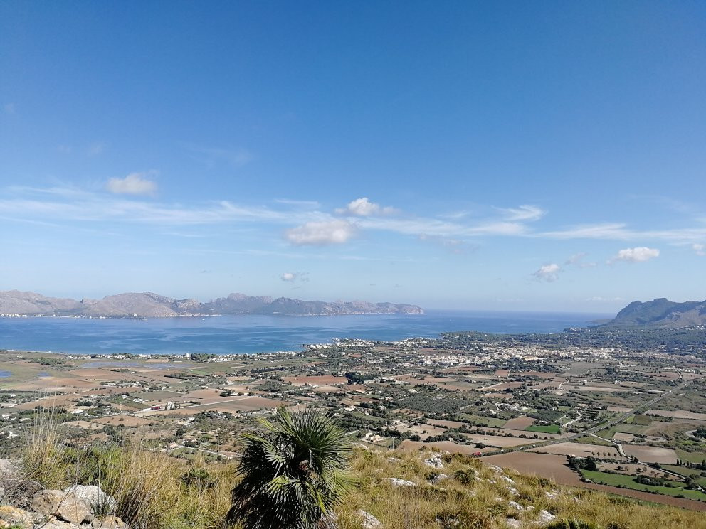 Buggy Xperience-Ca'n Picafort必去景点