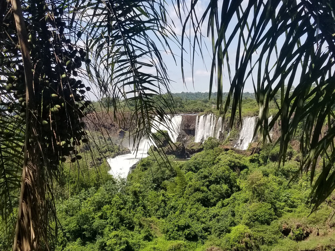 Cuenca del Plata Turismo-伊瓜苏港必去景点