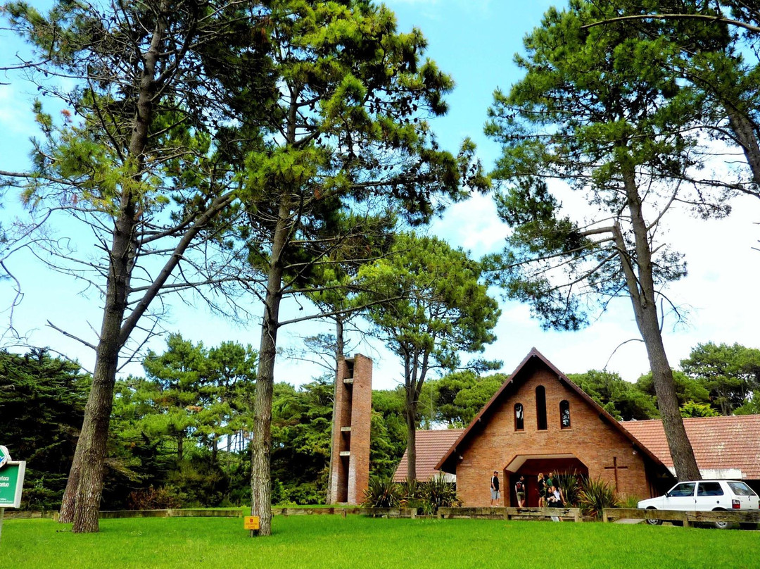 Bosque Aereo Carilo景点图片