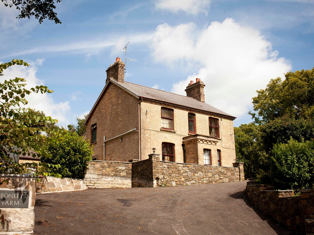 Bronllys Farm