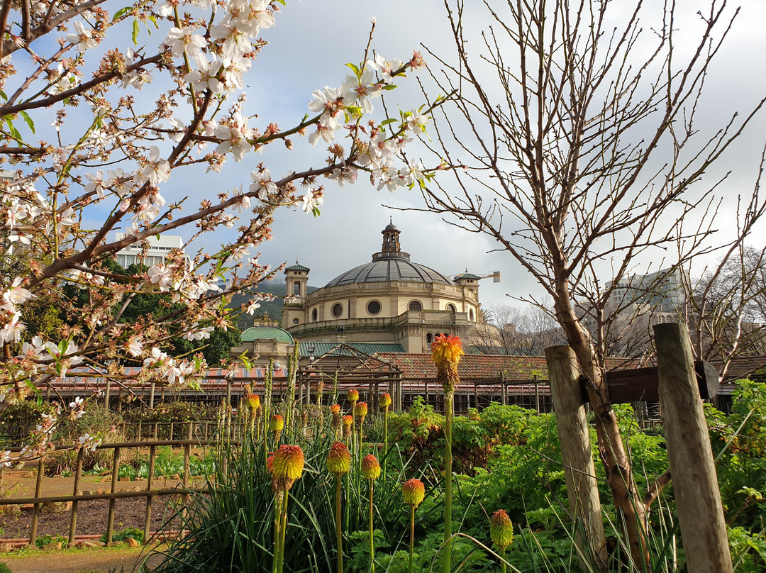 Claim Victory-Bellville必去景点