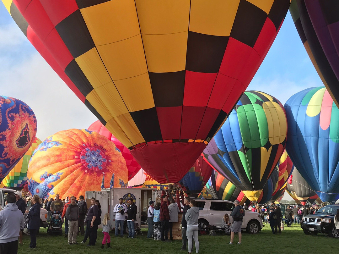 阿尔伯克基国际热气球节景点图片