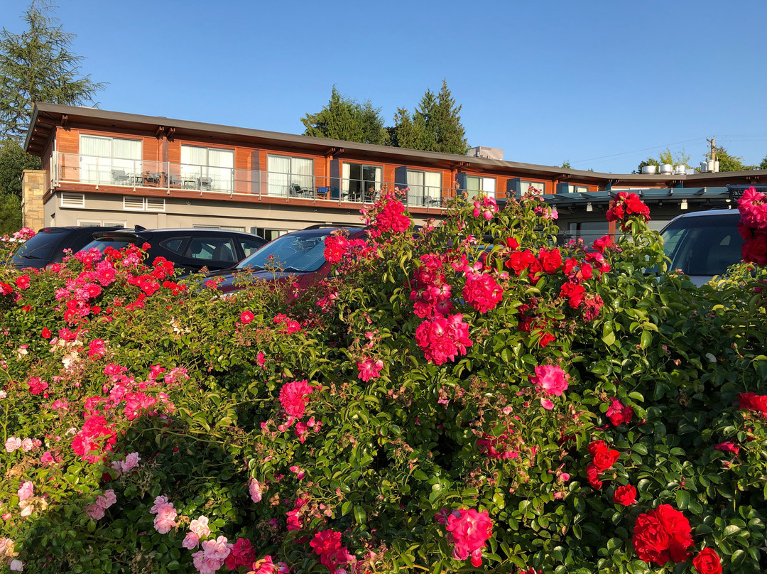 Qualicum Beach Inn主图