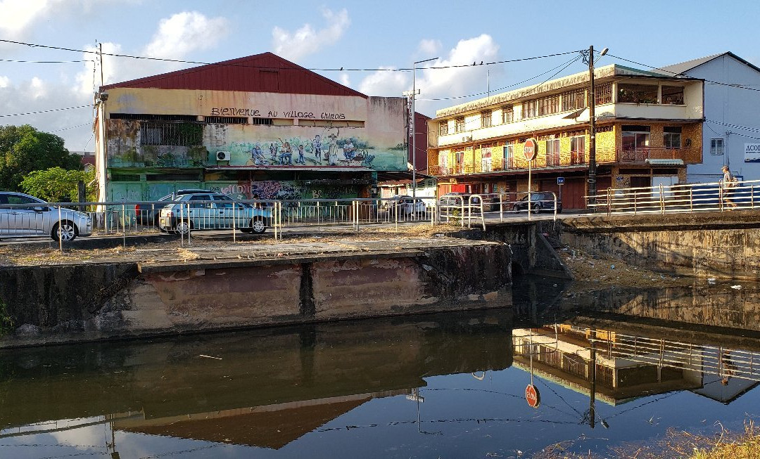 Village Chinois (Chinatown)-卡宴必去景点