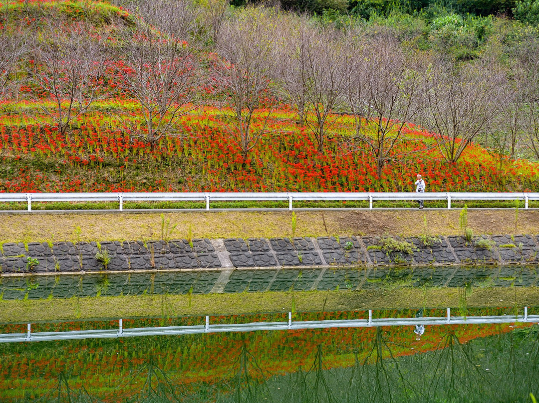 Hozan Lake景点图片