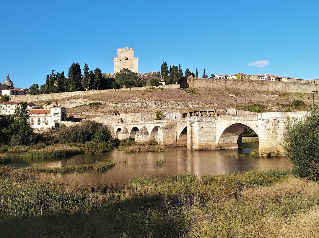 Puente romano景点图片