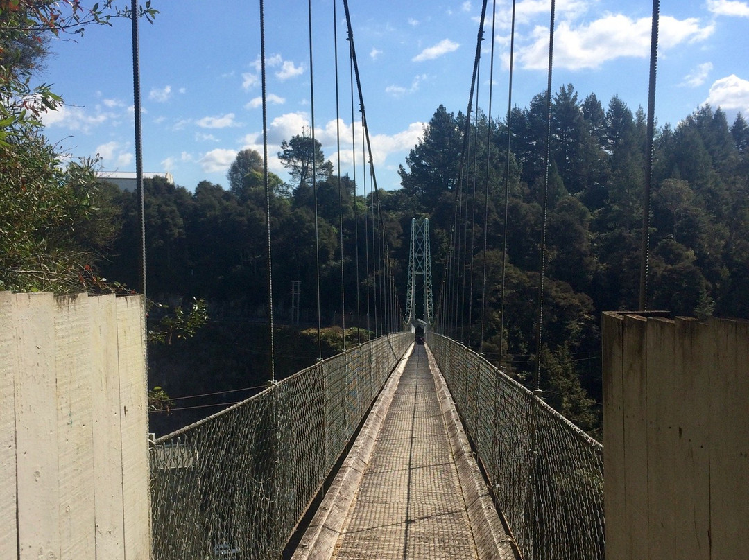 Arapuni Swing Bridge景点图片