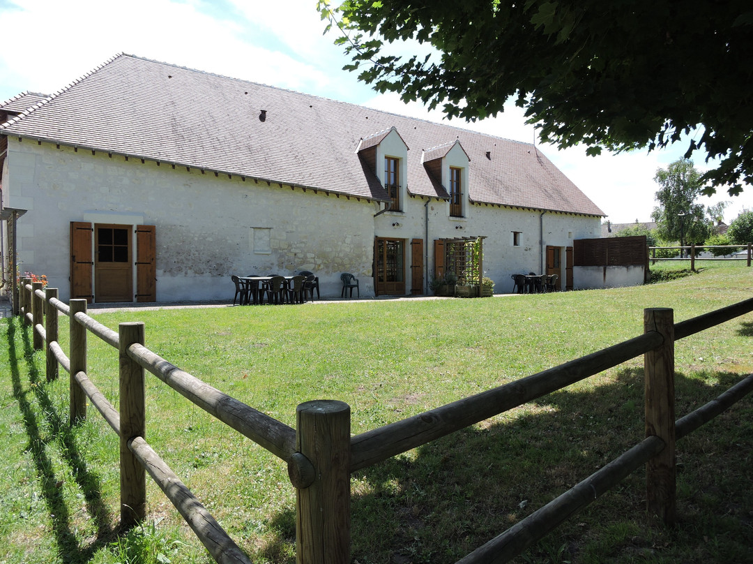 Rive du Cher