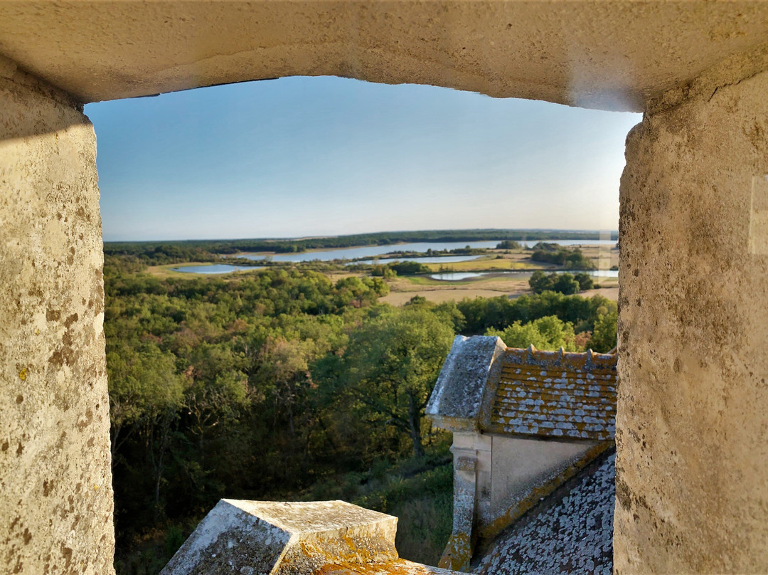 Château du Bouchet景点图片