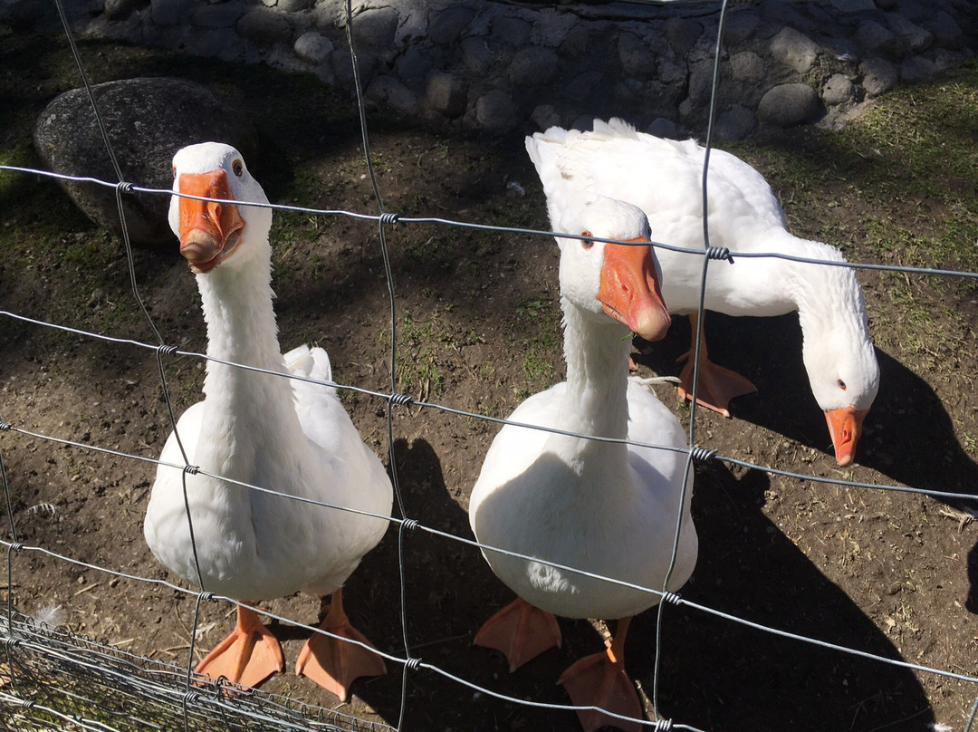 NationalPark Hotel Klockerhaus主图