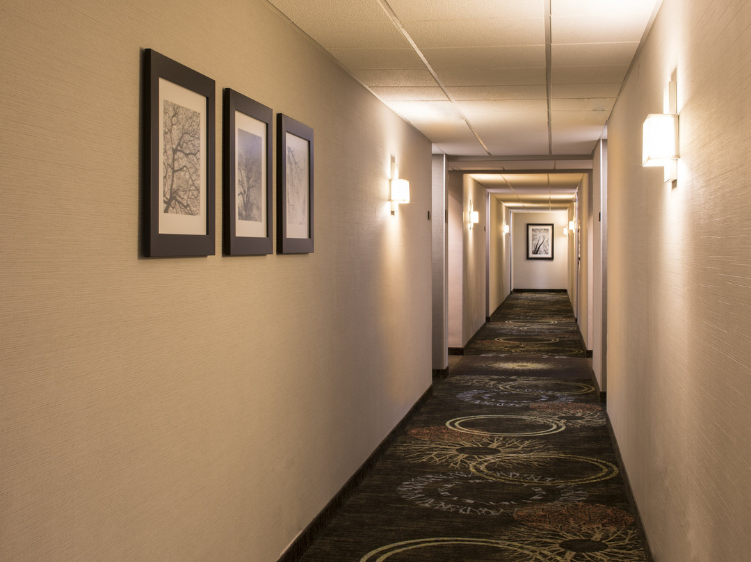 Staybridge Suites Monterrey - San Pedro by IHG主图