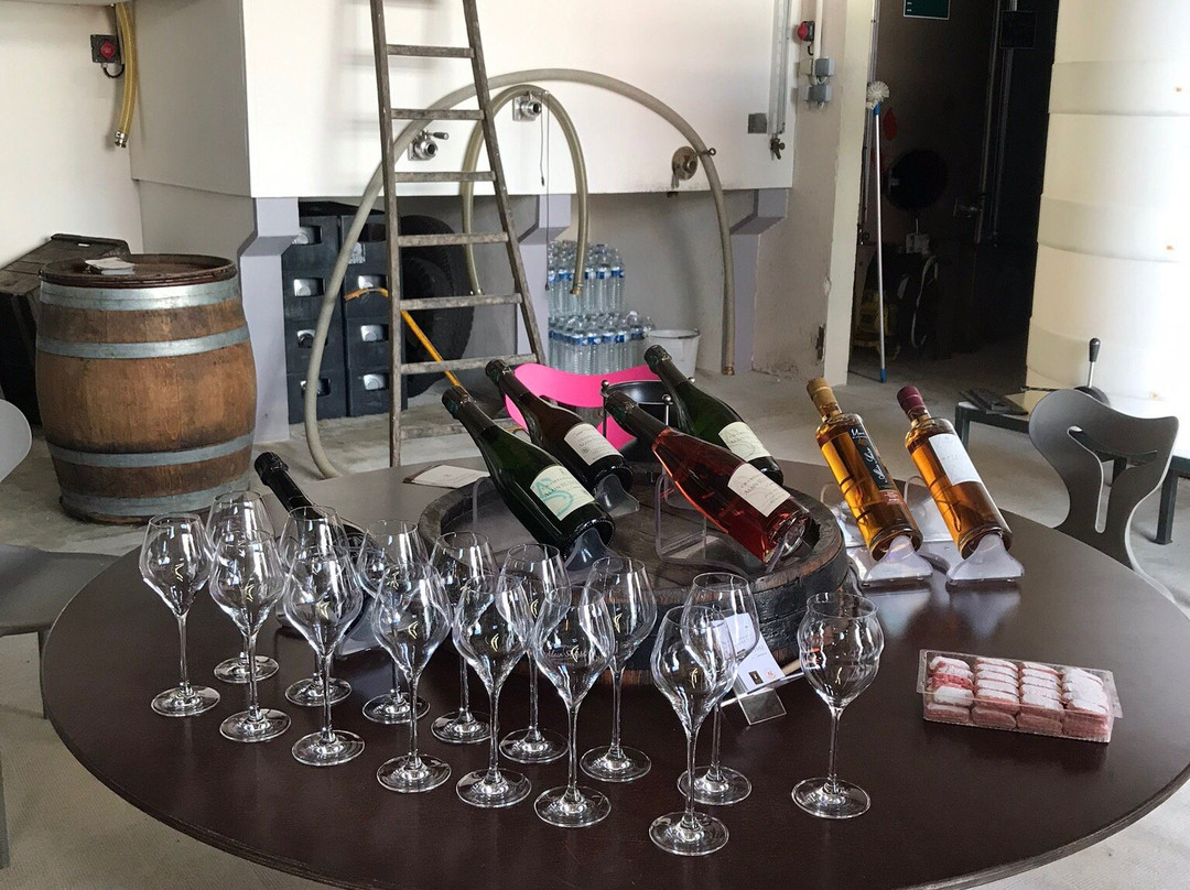 Champagne Alain SUISSE景点图片