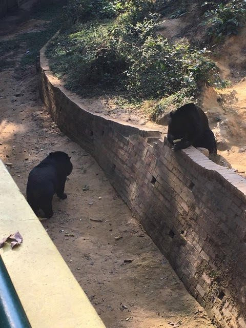 Hlawga Wildlife Park-仰光必去景点