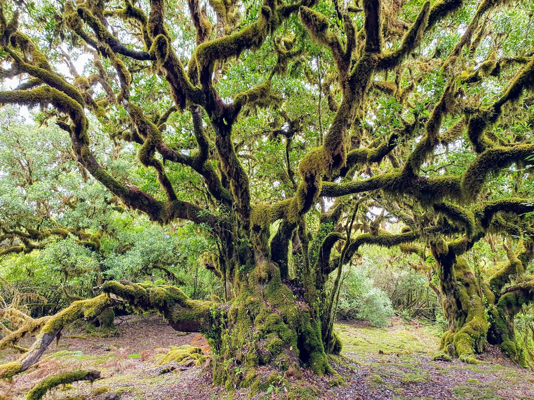 Madeira Wandern mit Christa-Canico必去景点