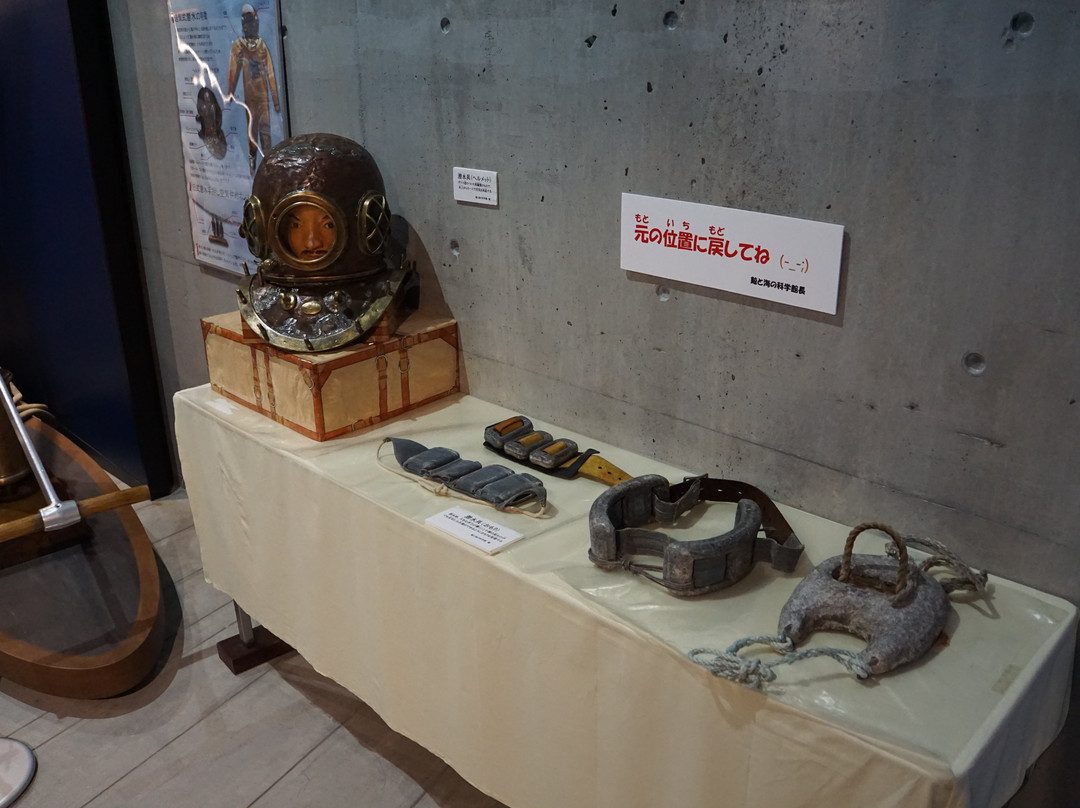 Whales and Science of the Sea Museum-山田町必去景点