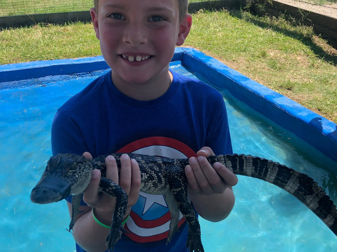 Gator Country-博蒙特必去景点