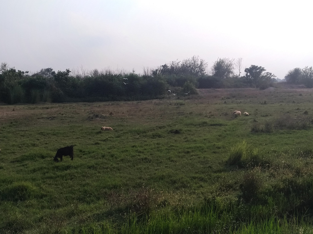 Kirmitli Bird Sanctuary-Osmaniye必去景点
