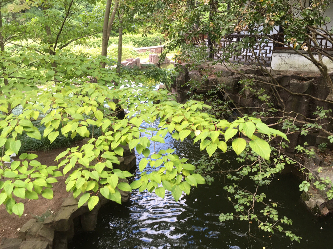 New York Chinese Scholar's Garden景点图片