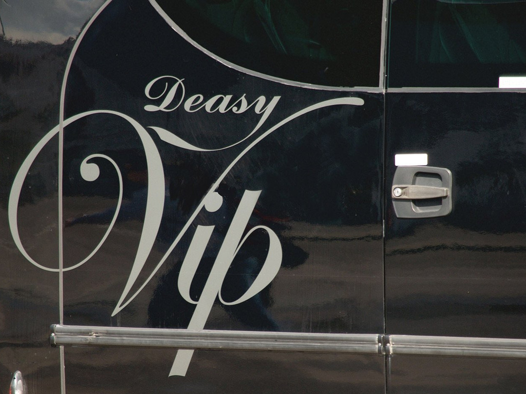 Deasy Coaches-科克必去景点