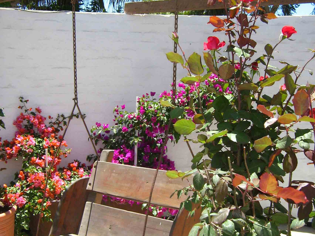 Alternative Space B & B主图