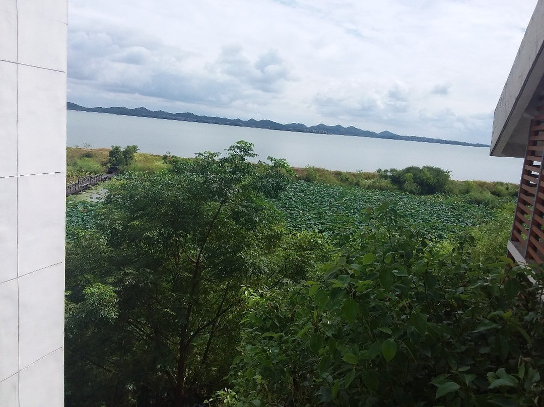鄱阳湖口国家森林公园景点图片