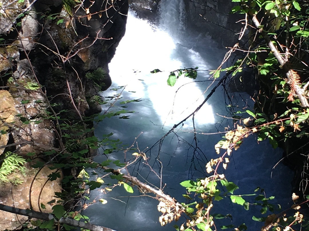 Rogue River Gorge Viewpoint-Prospect必去景点