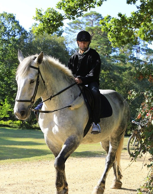 Brokenhurst Riding Stables景点图片