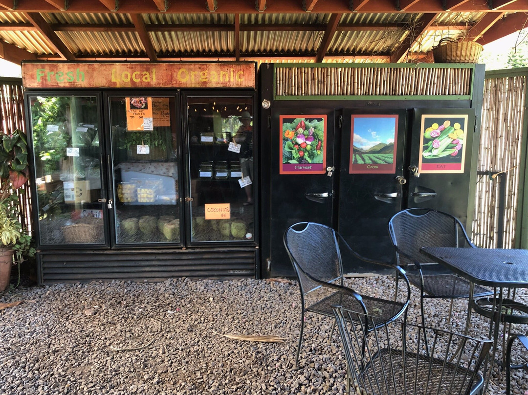 Kumu Farms-怀露库必去景点