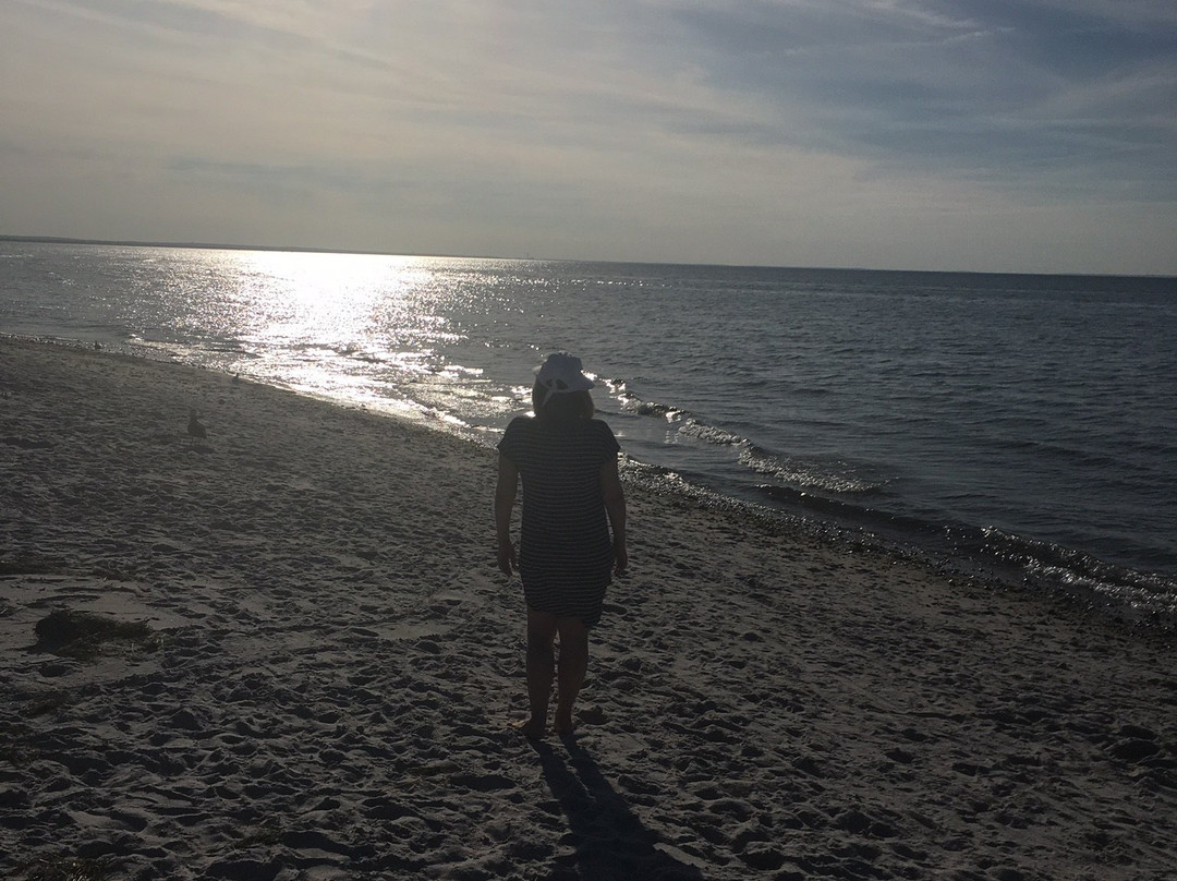 Mayflower Beach景点图片