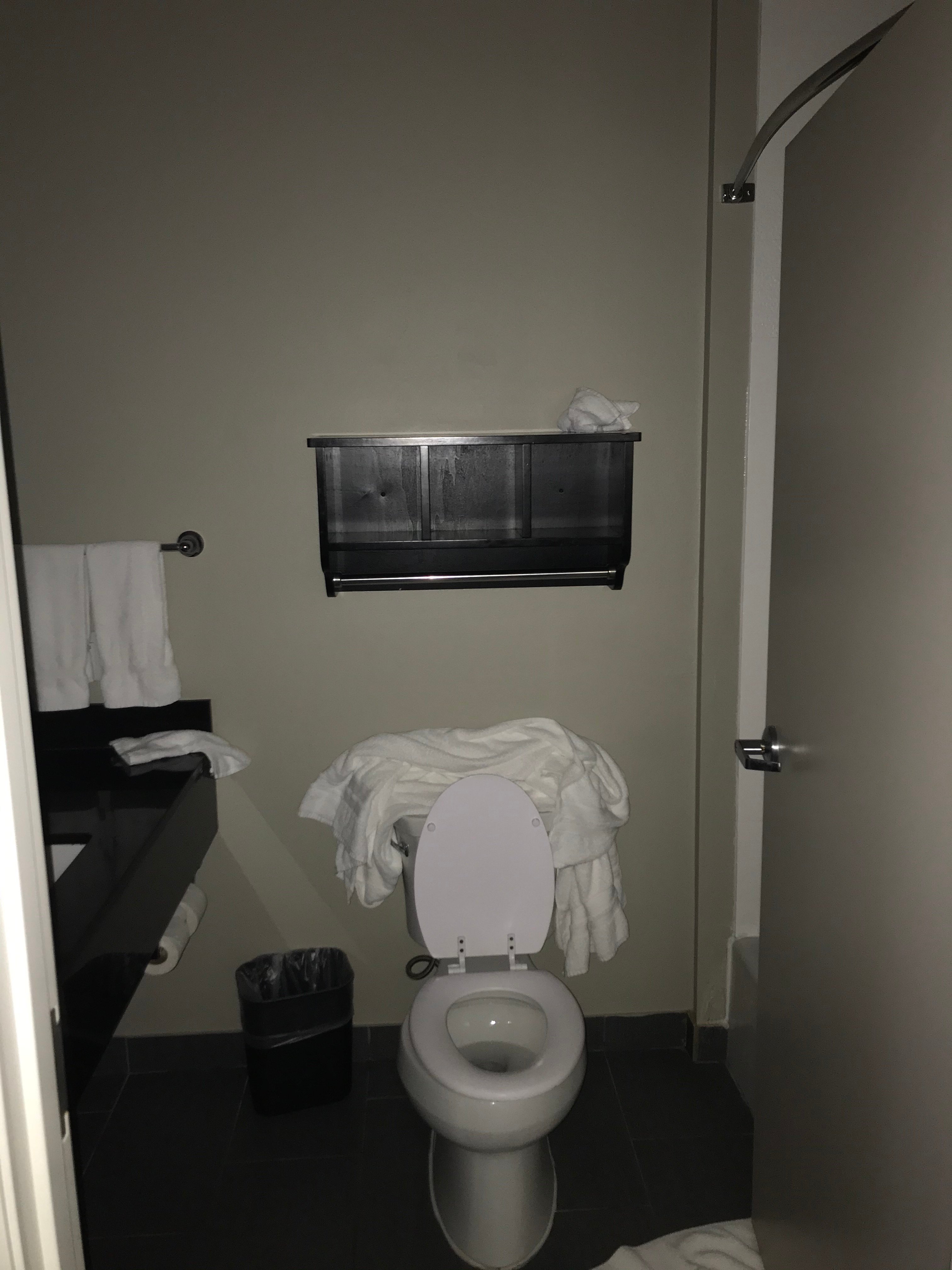 Best Western Plus Laredo Inn & Suites-浴室