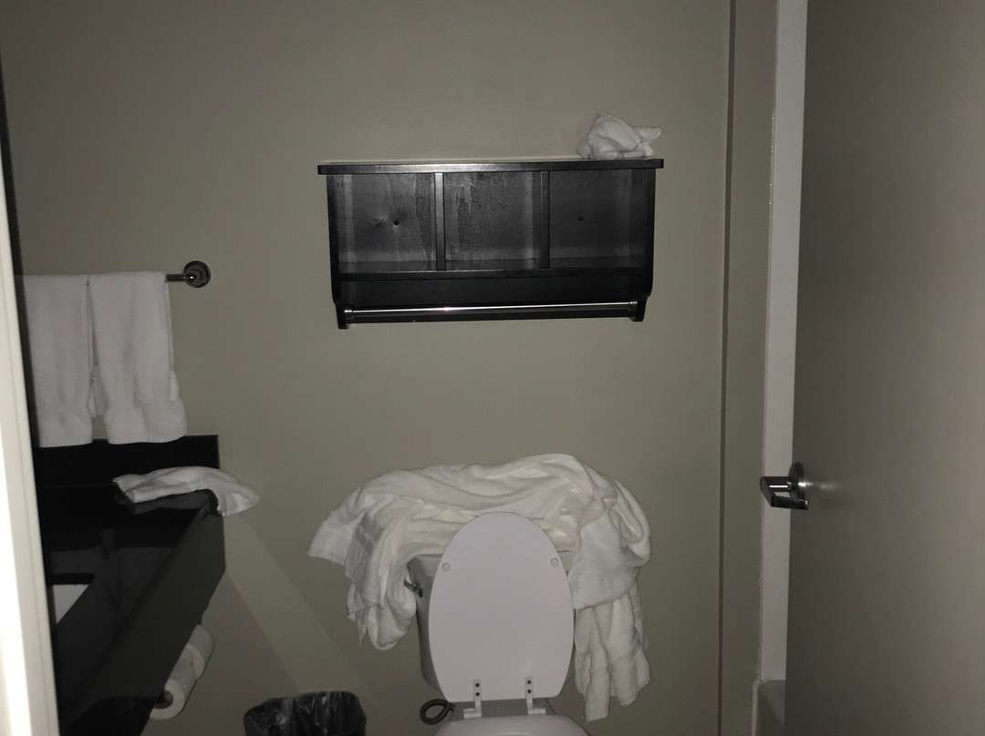 Best Western Plus Laredo Inn & Suites主图