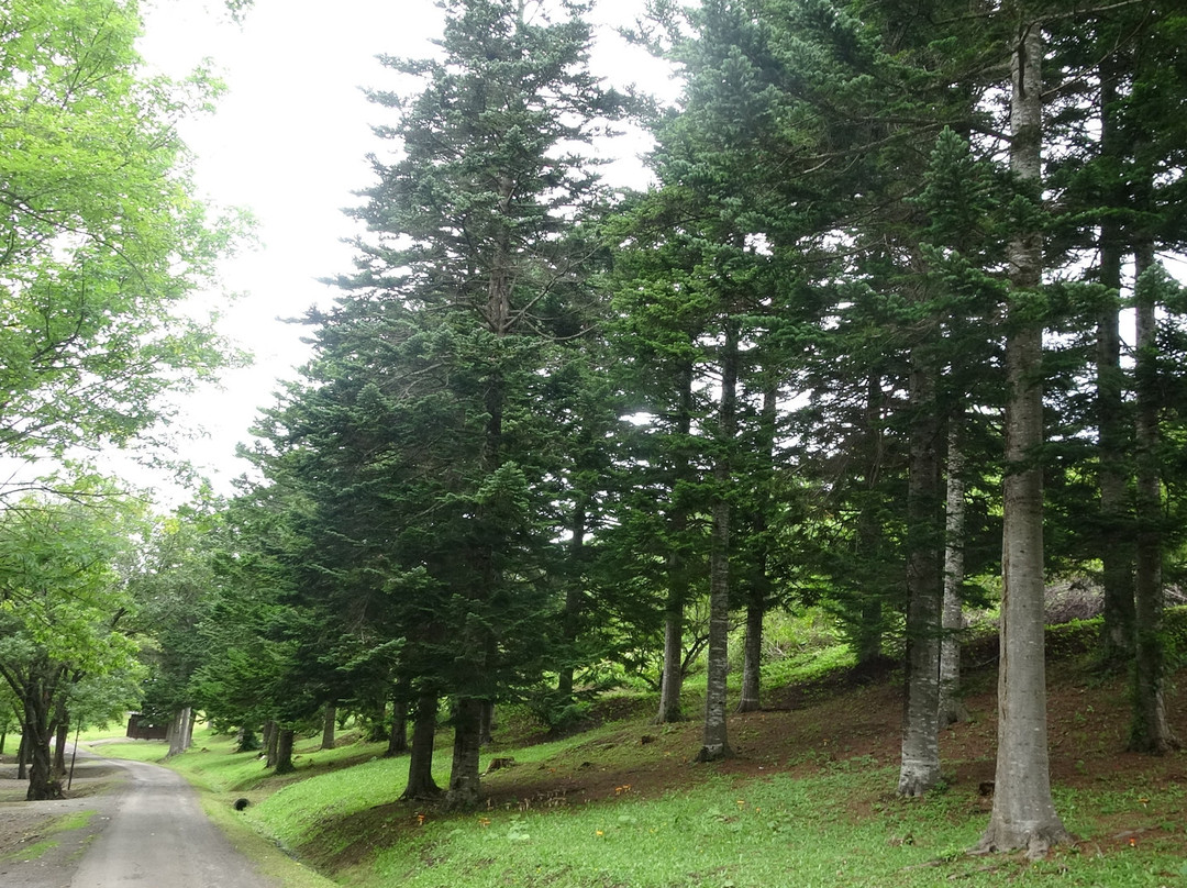 Gokazan Ski Park Golf Course-涌别町必去景点