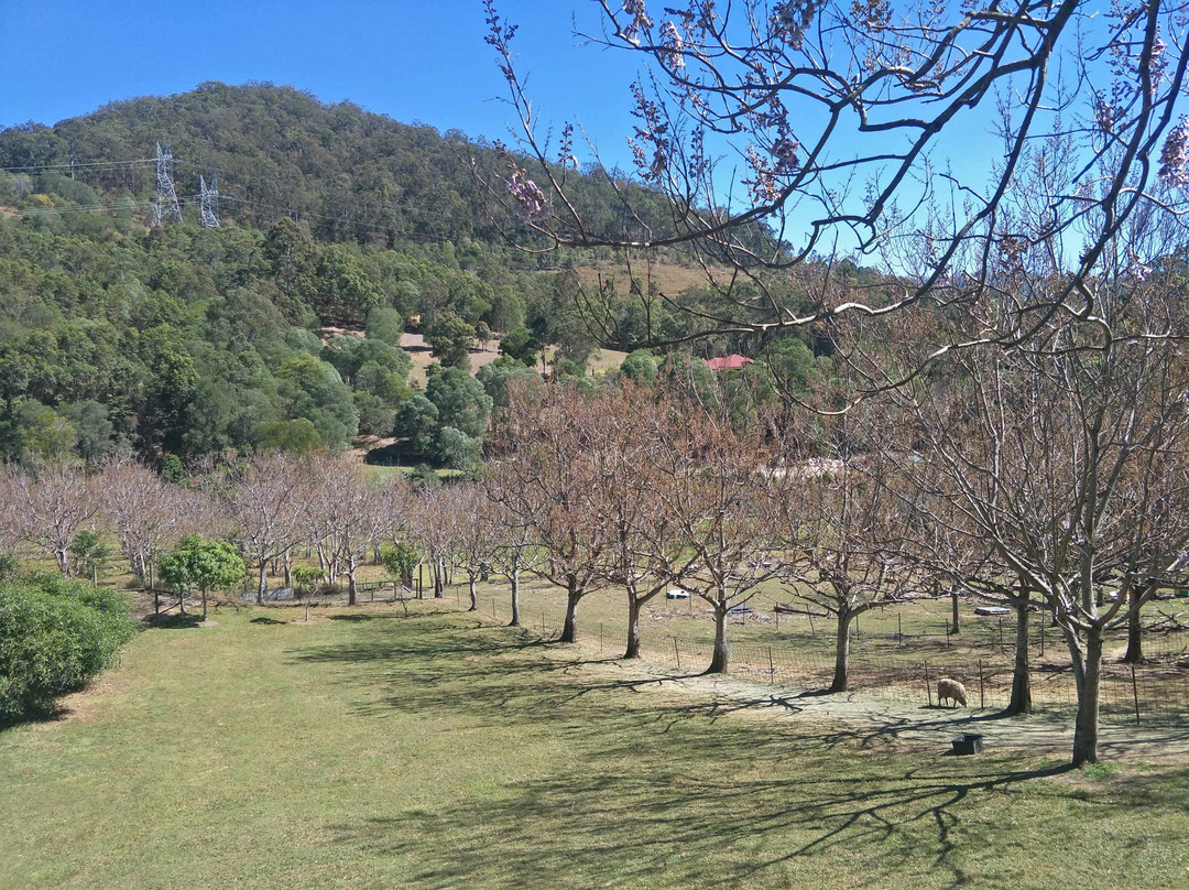 Mount Nathan Winery-Mount Nathan必去景点