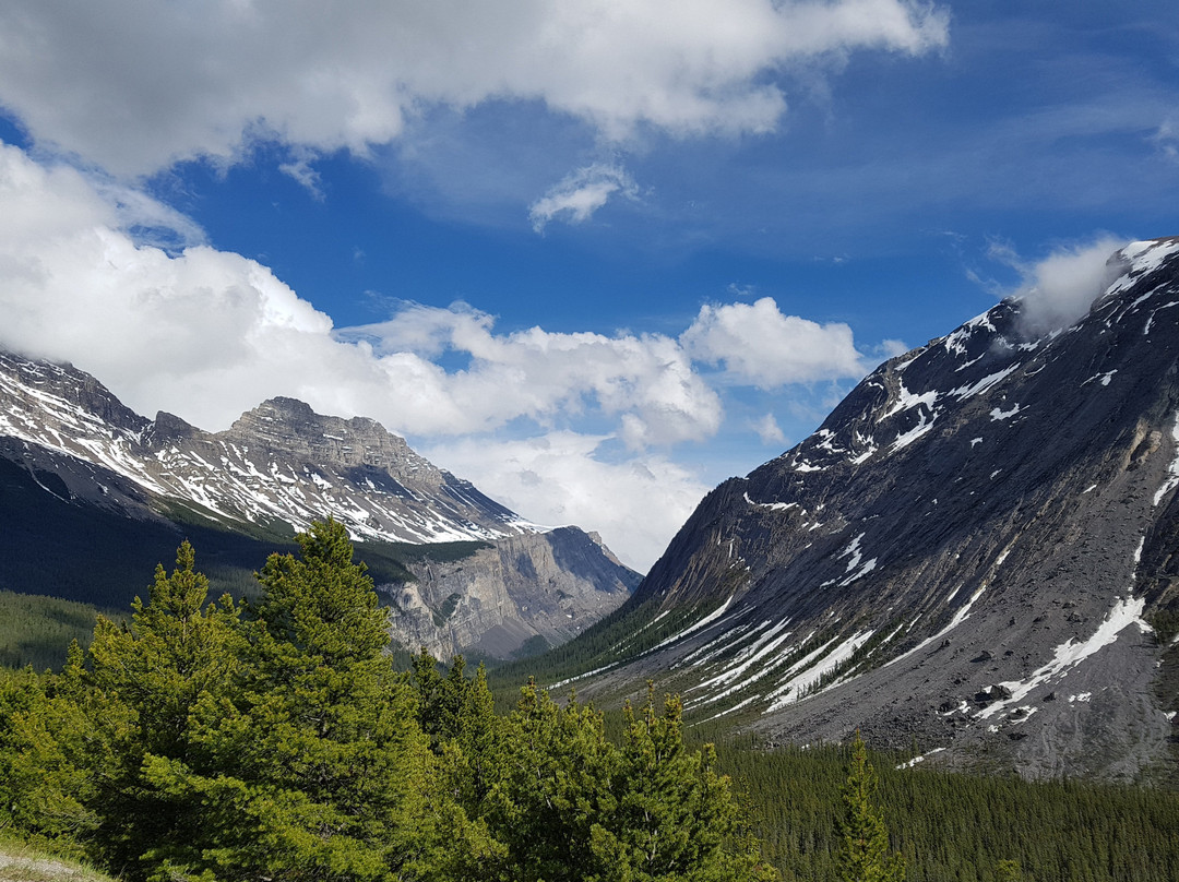Sunwapta Pass-艾伯塔必去景点