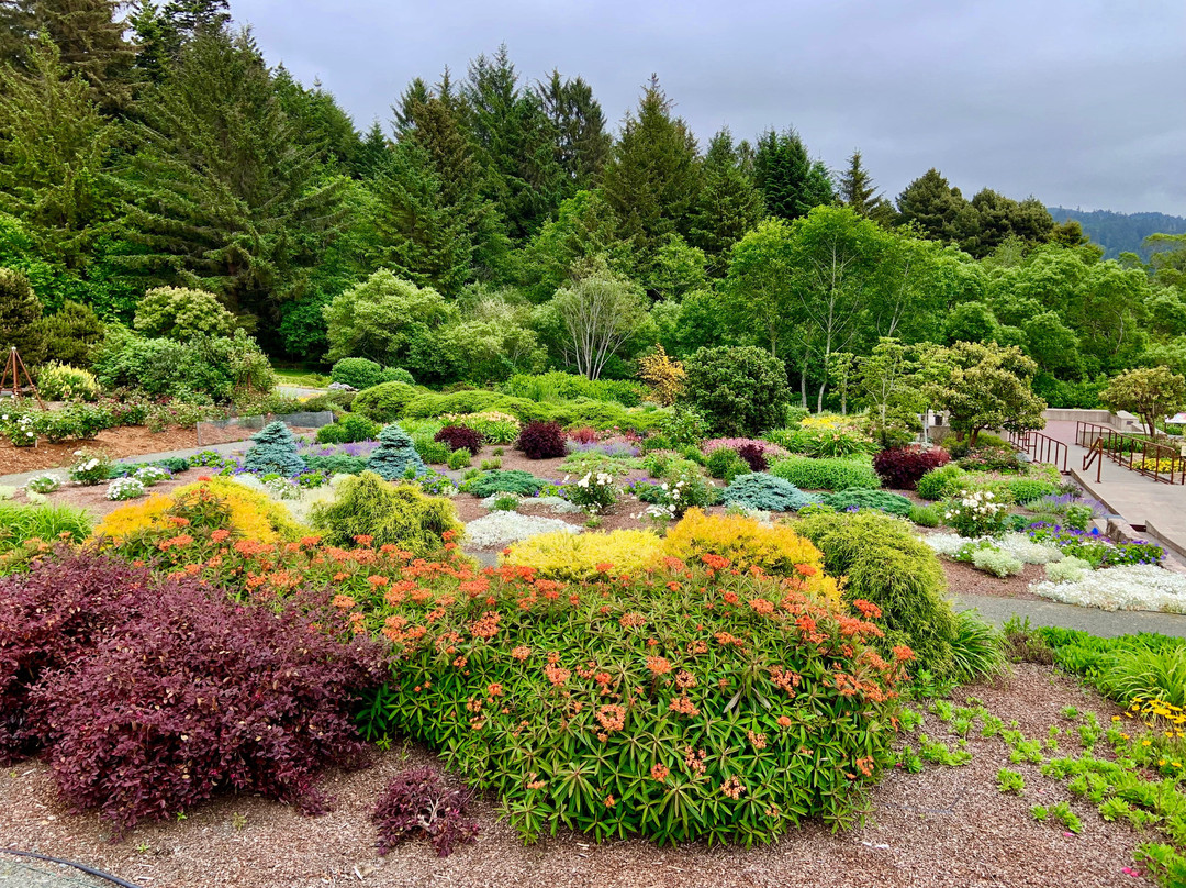 Humboldt Botanical Garden景点图片