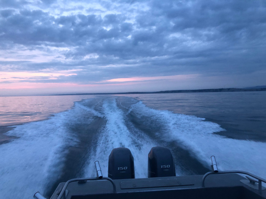 Gotta Fish Charters-尼尔奇克必去景点