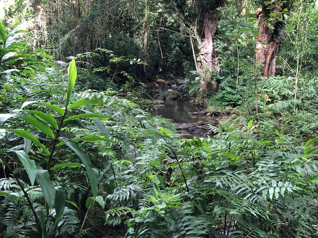 Maunawili Falls-科纳必去景点