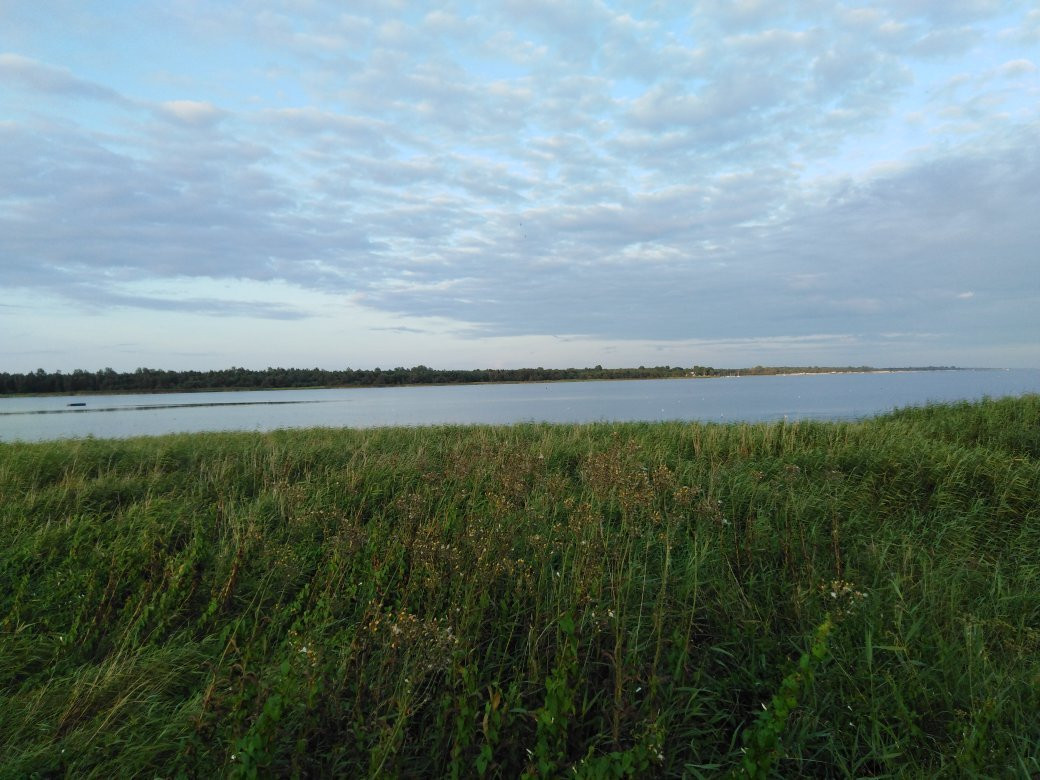 Rezerwat przyrody Słone łaki-弗瓦迪斯瓦沃沃必去景点