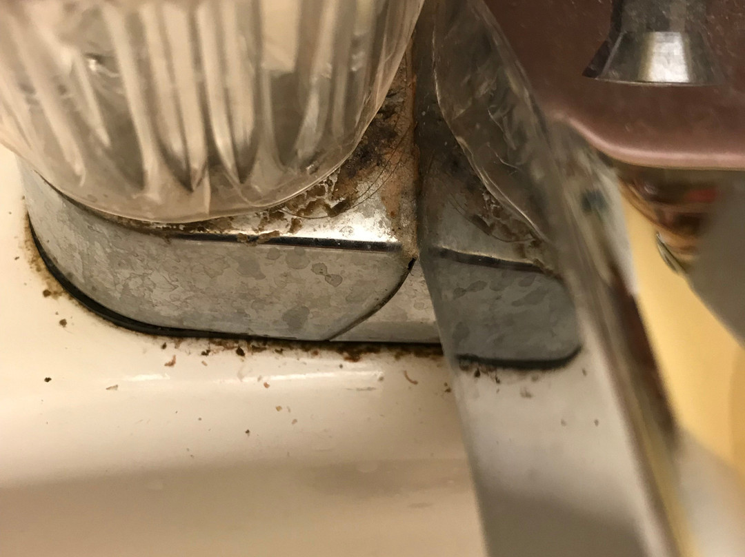 Sumner Motor Inn主图