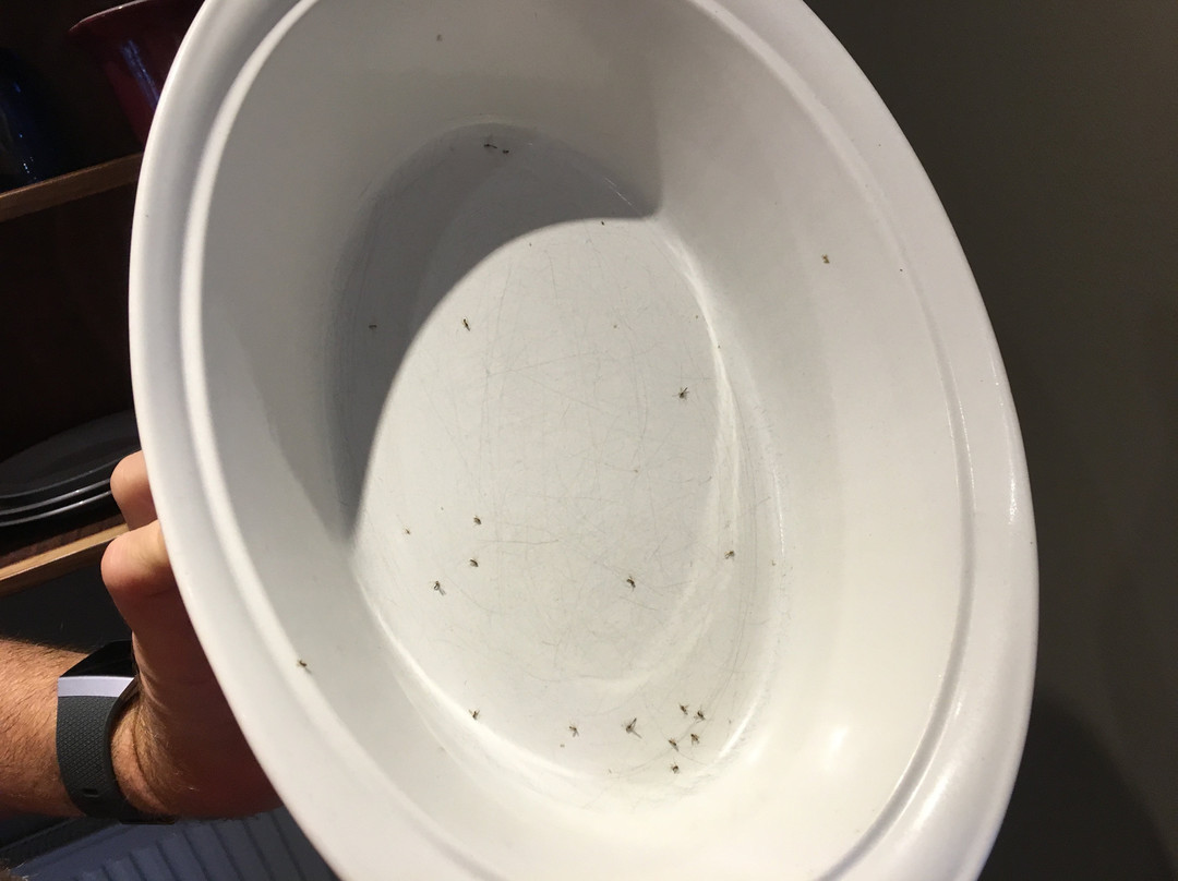 Lakeside Suites Crystal Beach主图