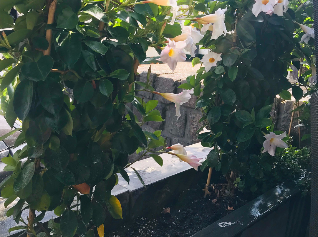 拉罗萨阿姆斯特丹酒店主图